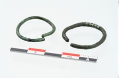 Foto von Bronzering (NHMW-PRAE-025173)